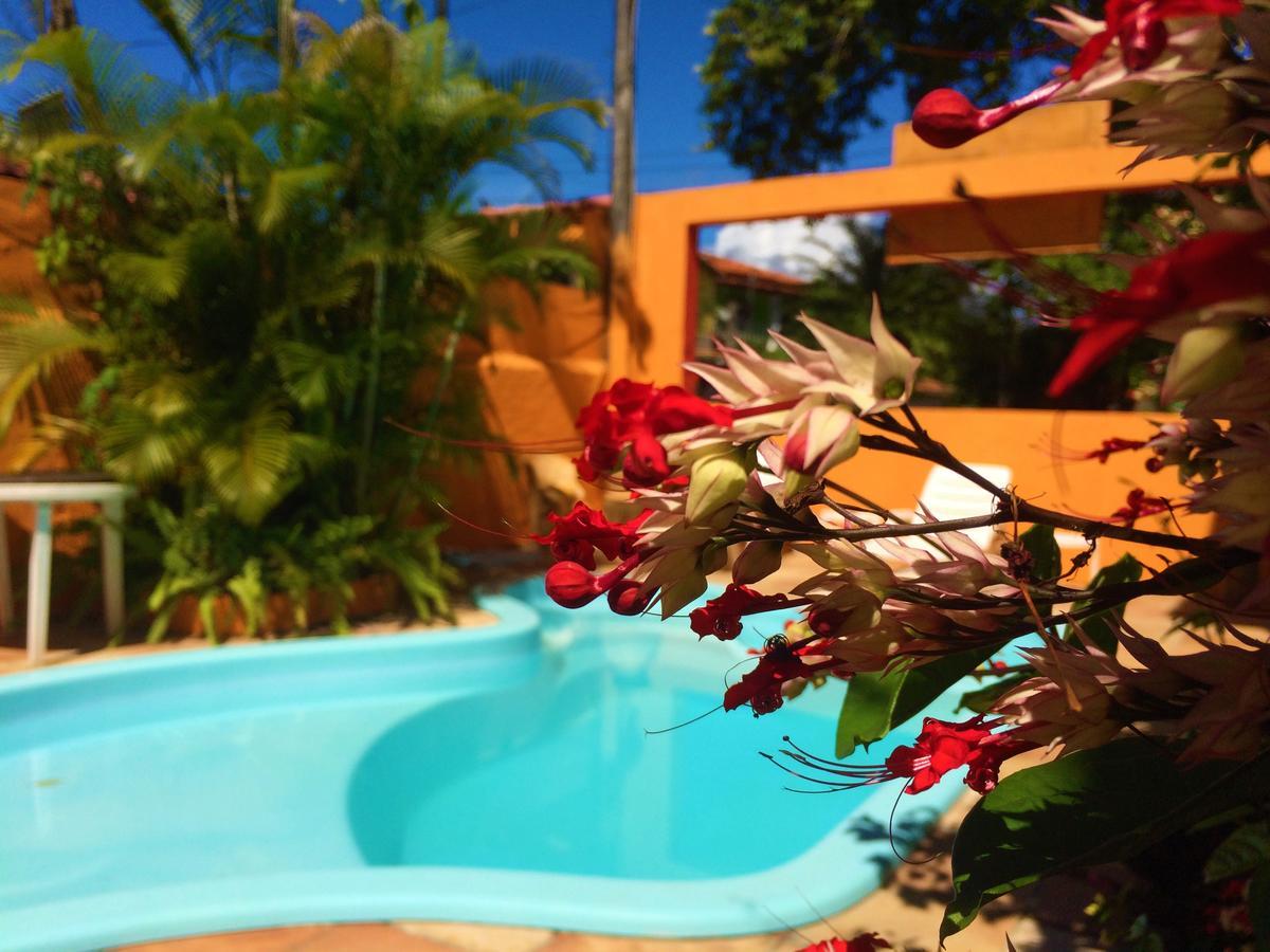 Rota Tropicana *